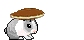 Pancake Bunny